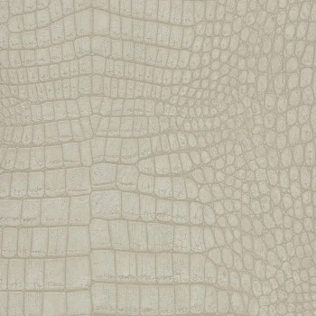 Online Kwantum Behang Ravi Zand