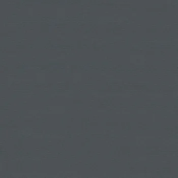 Discount Kwantum Fenstr Dakraam Rolgordijn Dave Verduisterend Antraciet