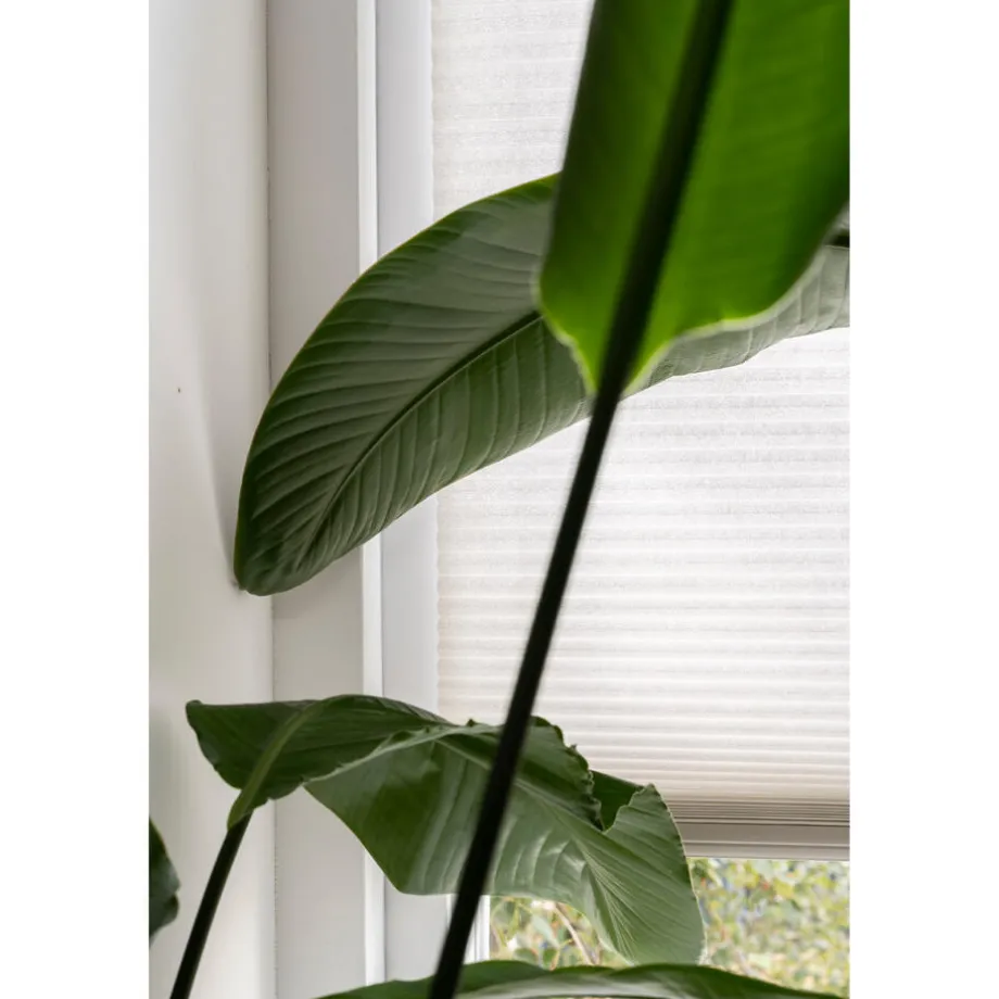 fenstr-dubbel-pliss-elsa-zand-BgCpcqPo-3.webp Hot Kwantum Fenstr Dubbel Plissé Elsa Verduisterend Zand