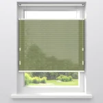 Best Kwantum Fenstr Dubbel Plisségordijn Maud Transparant Groen