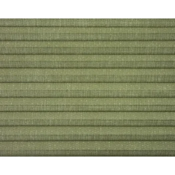 Best Kwantum Fenstr Dubbel Plisségordijn Maud Transparant Groen