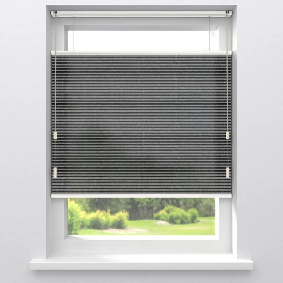 fenstr-plissgordijn-raya-antra-UpzgclSh-0.webp Clearance Kwantum Fenstr Plisségordijn Raya Lichtdoorlatend Antraciet