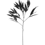 Clearance Kwantum Kunsttak Mango Zwart