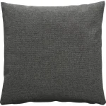 kussen-aubers-antraciet-45×4-tzSOORLx-0.webp