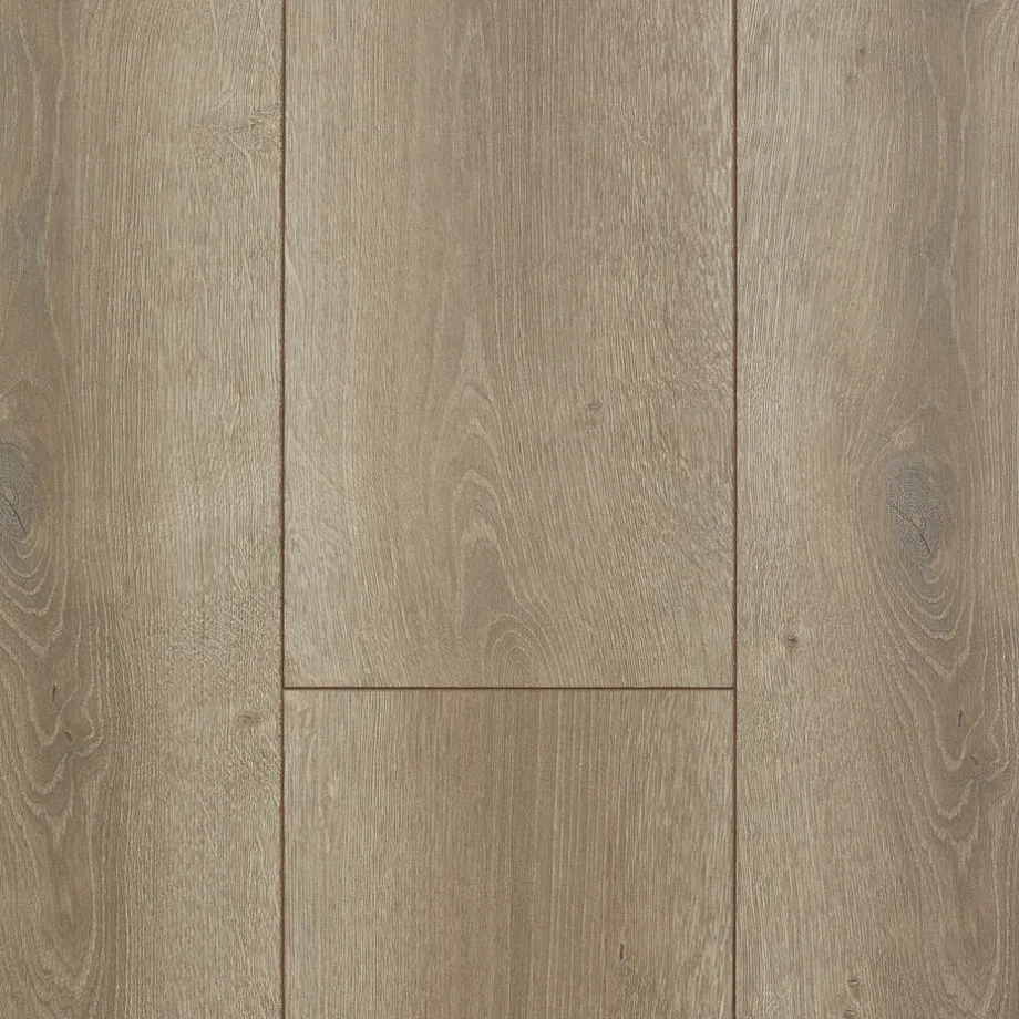 laminaat-ibis-eiken-xl-plank-IyqmLLxU-0.webp Hot Kwantum Laminaat Ibis Eiken XL Plank Je Berekent Hoeveel Meters Je Nodig Hebt Door Lengte En Breedte In Te Vullen