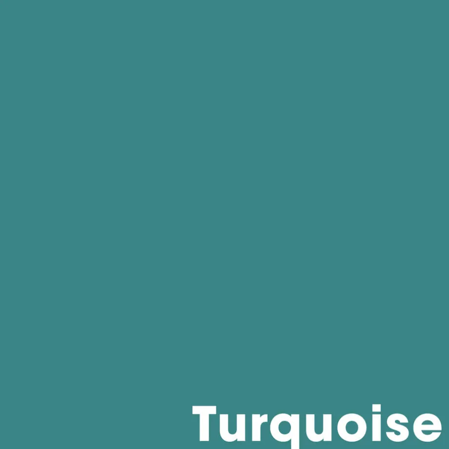 muurverf-mat-turquoise-1-l-PSAbxhNr-1.webp Outlet Kwantum Muurverf Mat Turquoise 1 L 1L