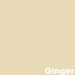 muurverf-professional-ginger-1-NSdAuquN-0.webp