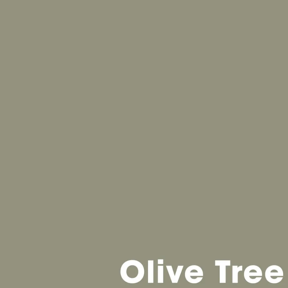 muurverf-professional-olive-tr-WvrDvrvt-1.webp Hot Kwantum Muurverf Professional Olive Tree 1 L 1L