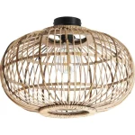 Clearance Kwantum Plafondlamp Boreas