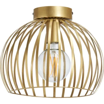 Clearance Kwantum Plafondlamp Dian Goud