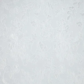 Clearance Kwantum Plakfolie Blad Transparant