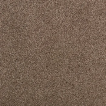 Online Kwantum Tapijt Cheyenne Bruin