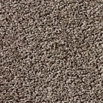 Online Kwantum Tapijt Marvell Taupe